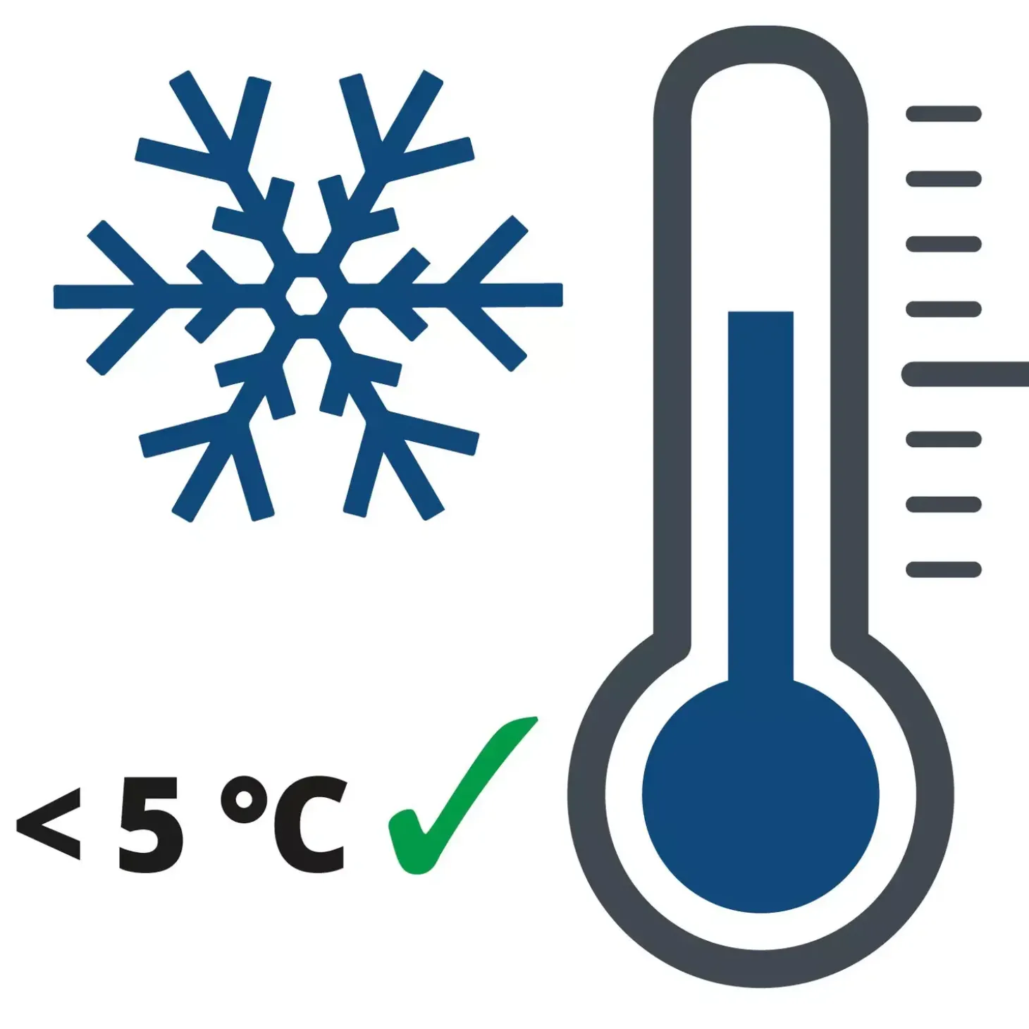 Einhell CE-BC 4 M batterilader 12V/4A