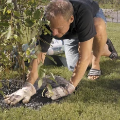 Fibertex WeedControl® Premium ukrudtsdug 1x15 m - sort, 80 g/m2