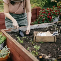 Fiskars solid planteske