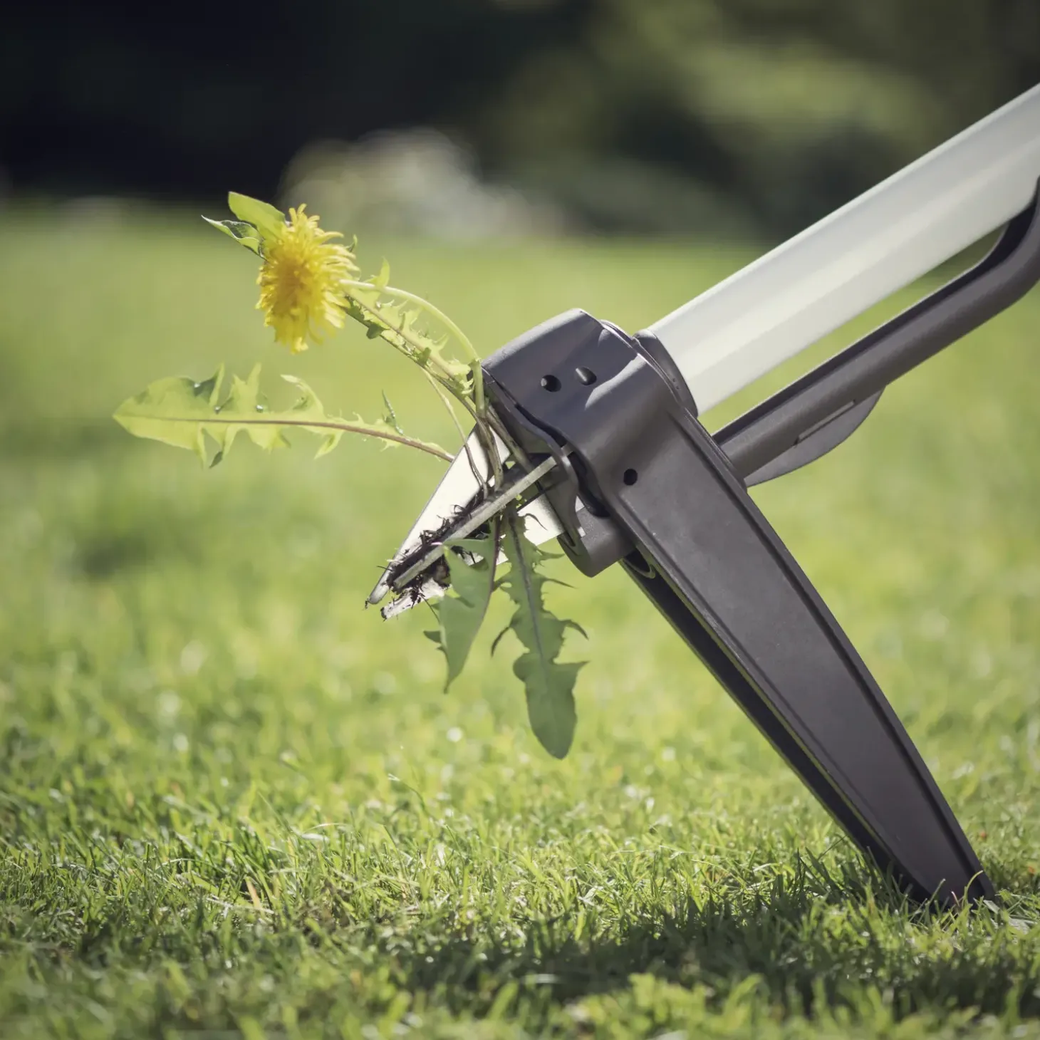 Fiskars Solid rive 12 tænder