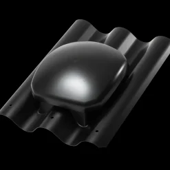 Forzes tagrumsventilation sort