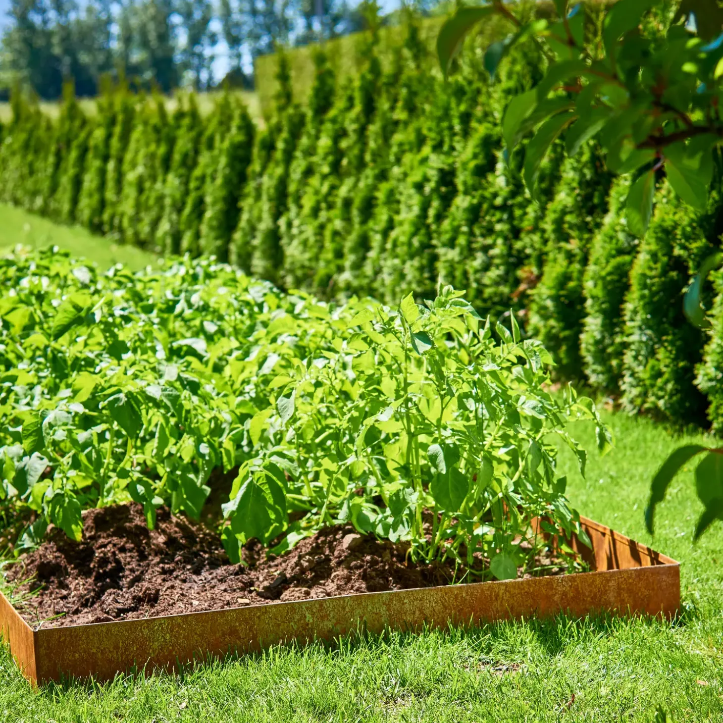 Grouw bedkanter i Cortenstål 14 x 106 cm 4-pak