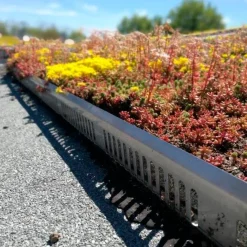 Growtek kantskinne sort alu 60 mm x 2 m