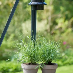 Halls Magnum 148 drivhus med hærdet glas, inkl. sokkel 11,5 m²