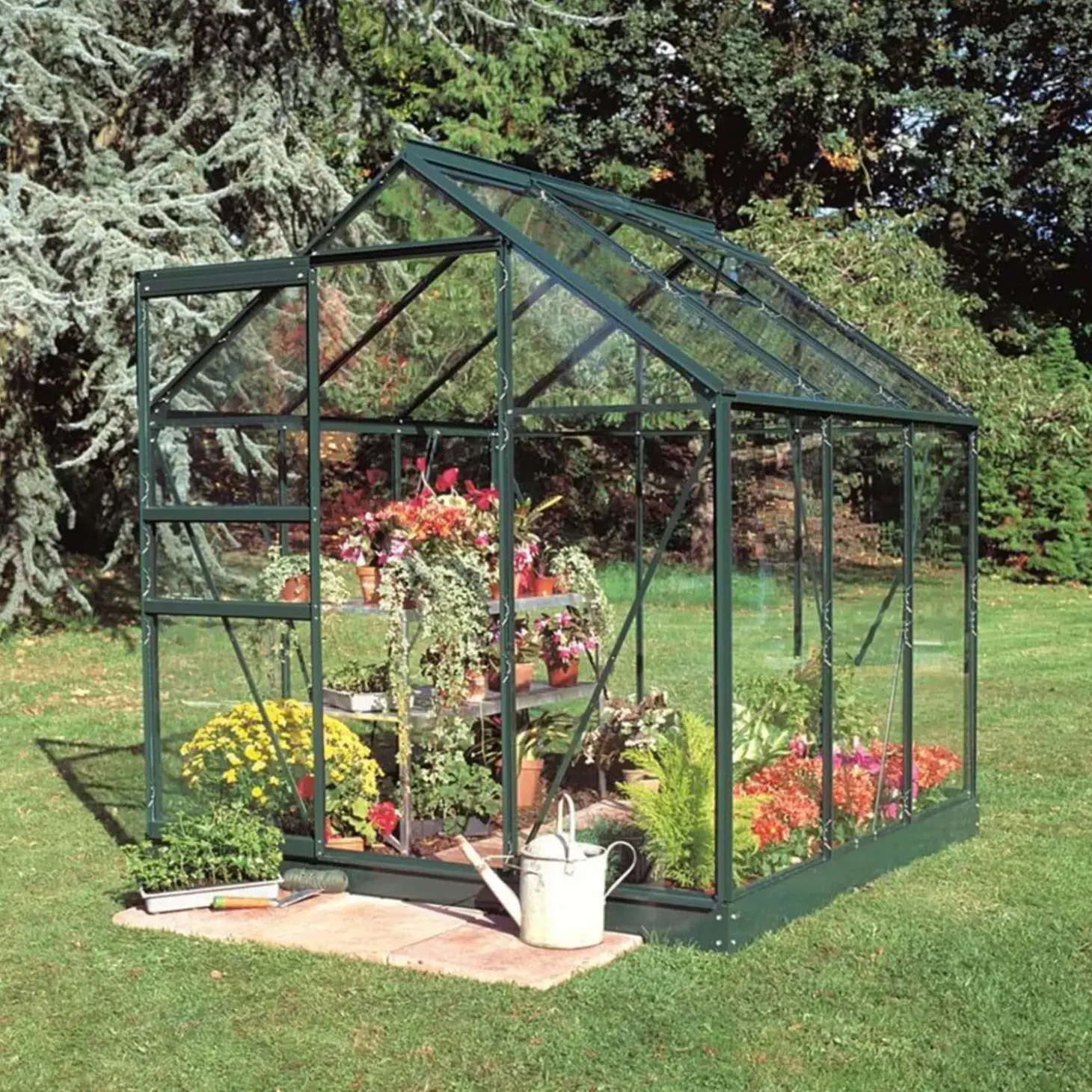 Halls Popular 66 3,8 m² grøn 3 mm hærdet glas