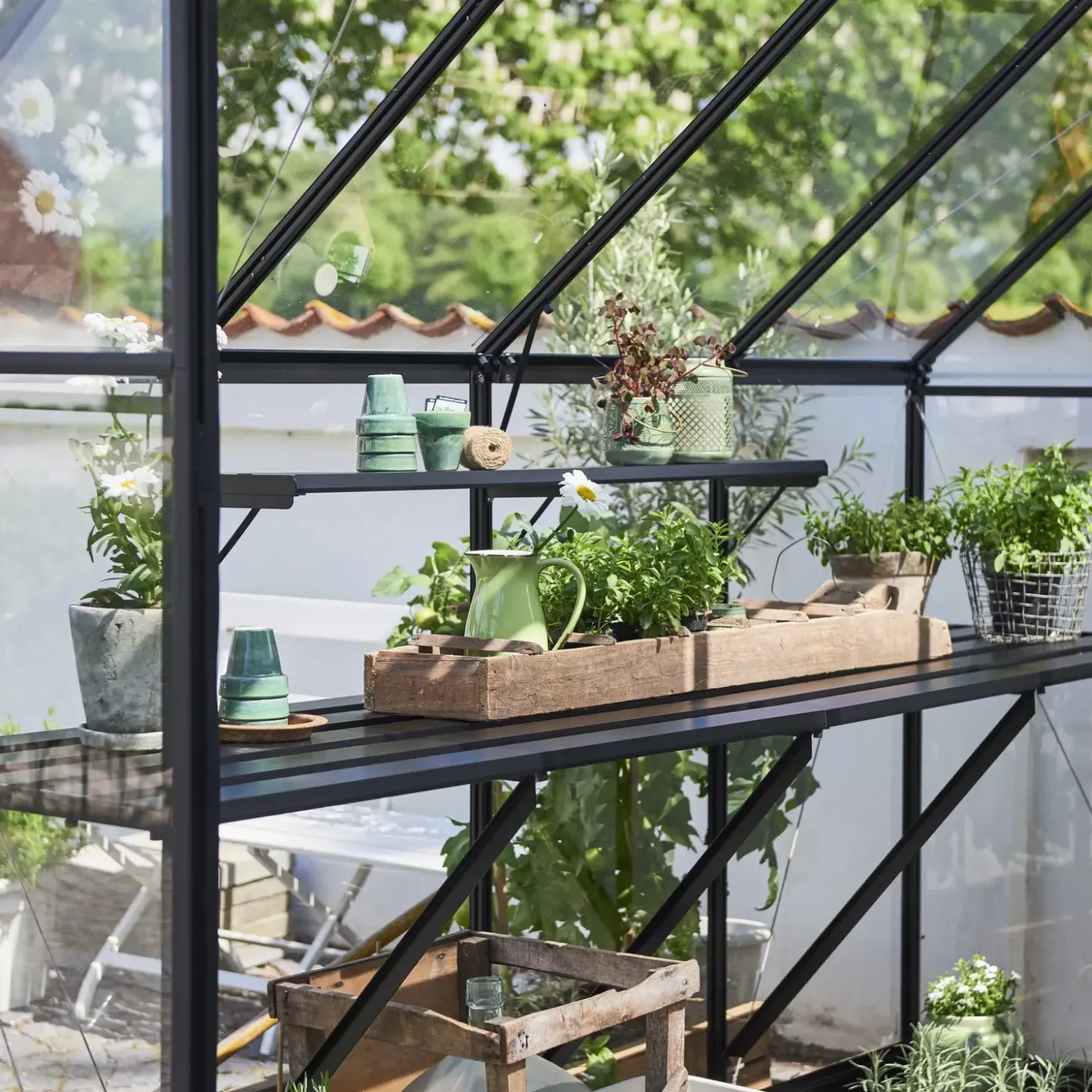 Halls Qube+ 816 drivhus sort med hærdet glas 13,0 m²