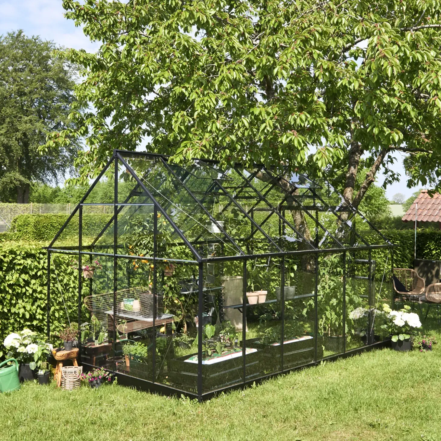 Halls Qube+ 812 drivhus sort med hærdet glas, 9,9 m²