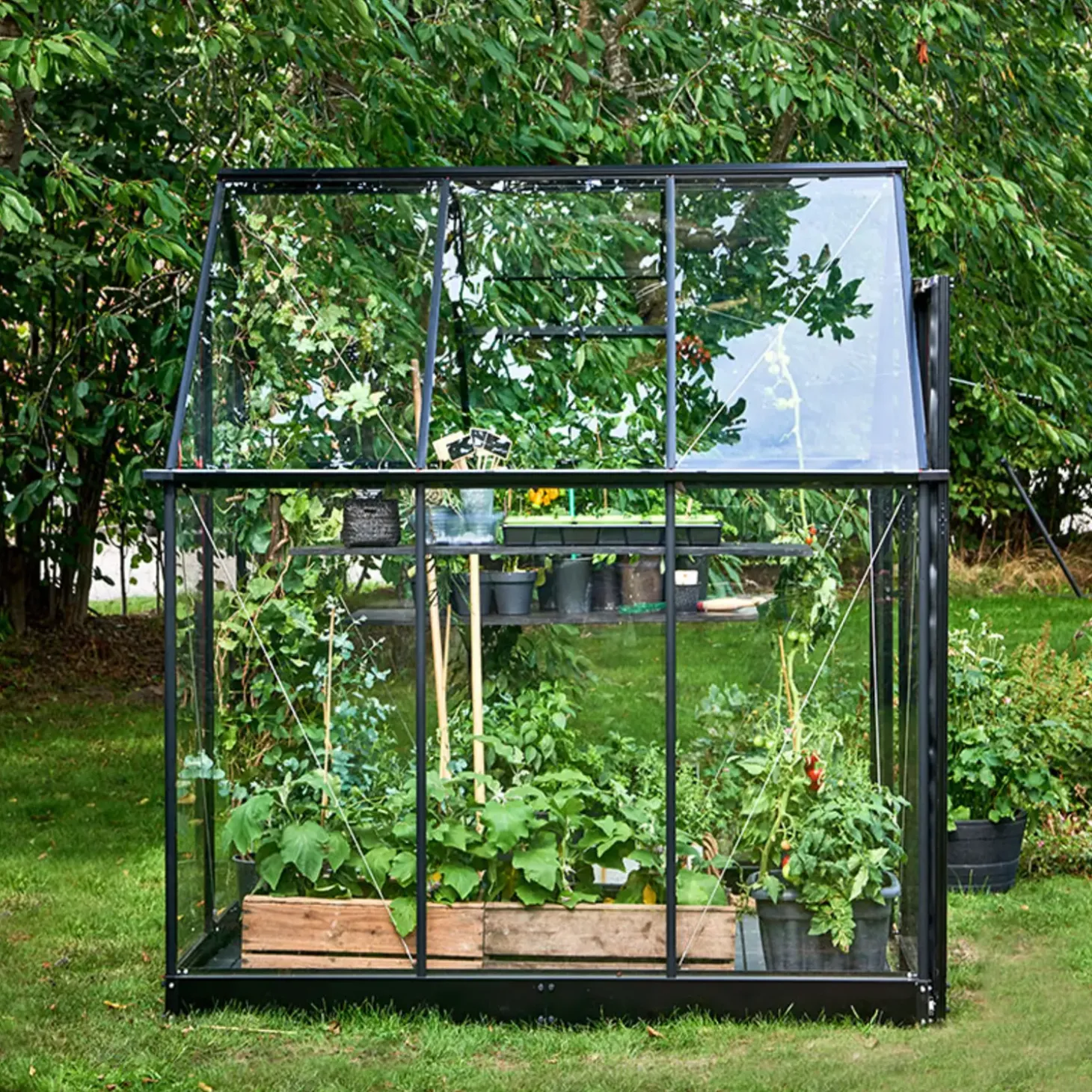 Halls Qube 66 minidrivhus sort med hærdet glas 3,9 m²