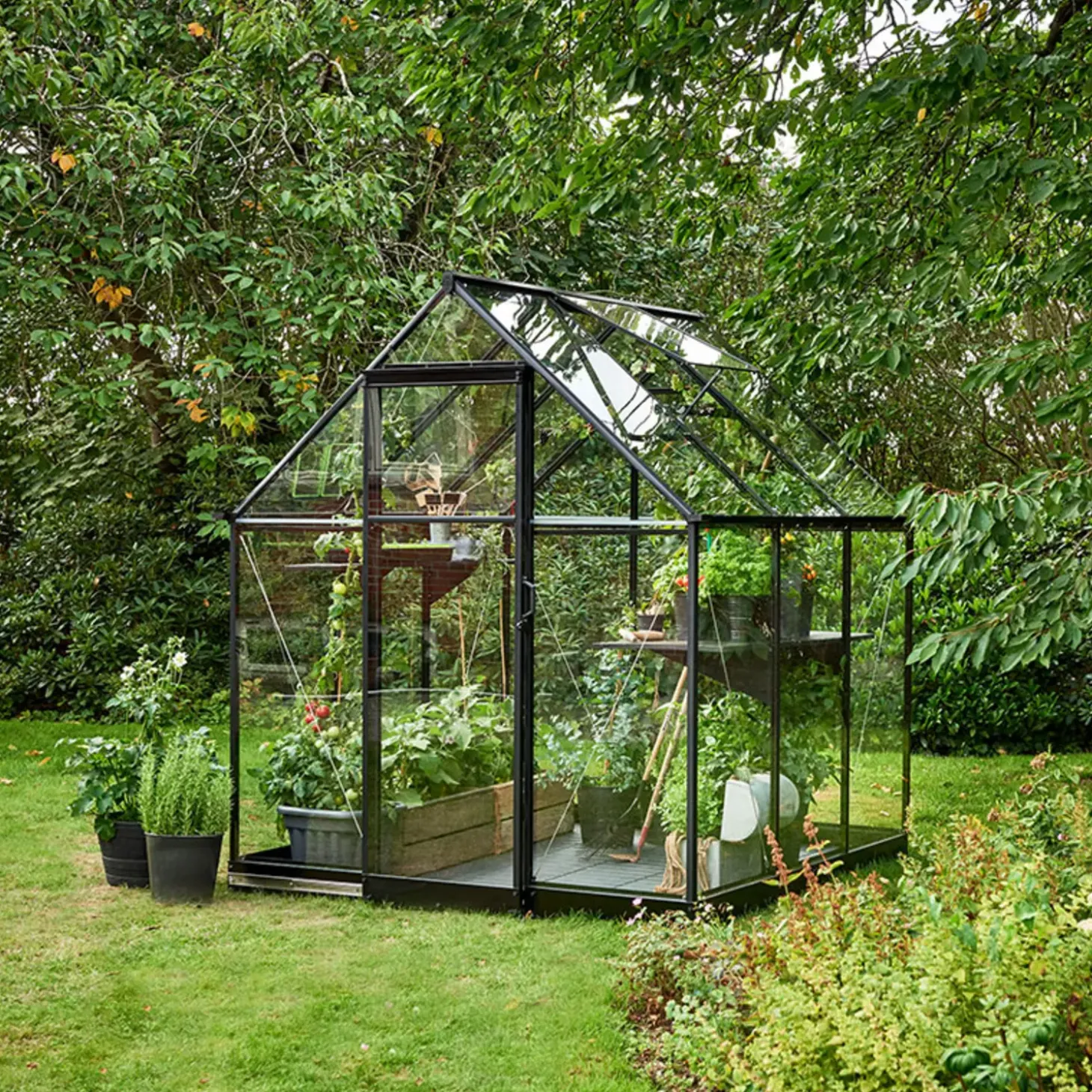 Halls Qube 66 minidrivhus sort med hærdet glas 3,9 m²