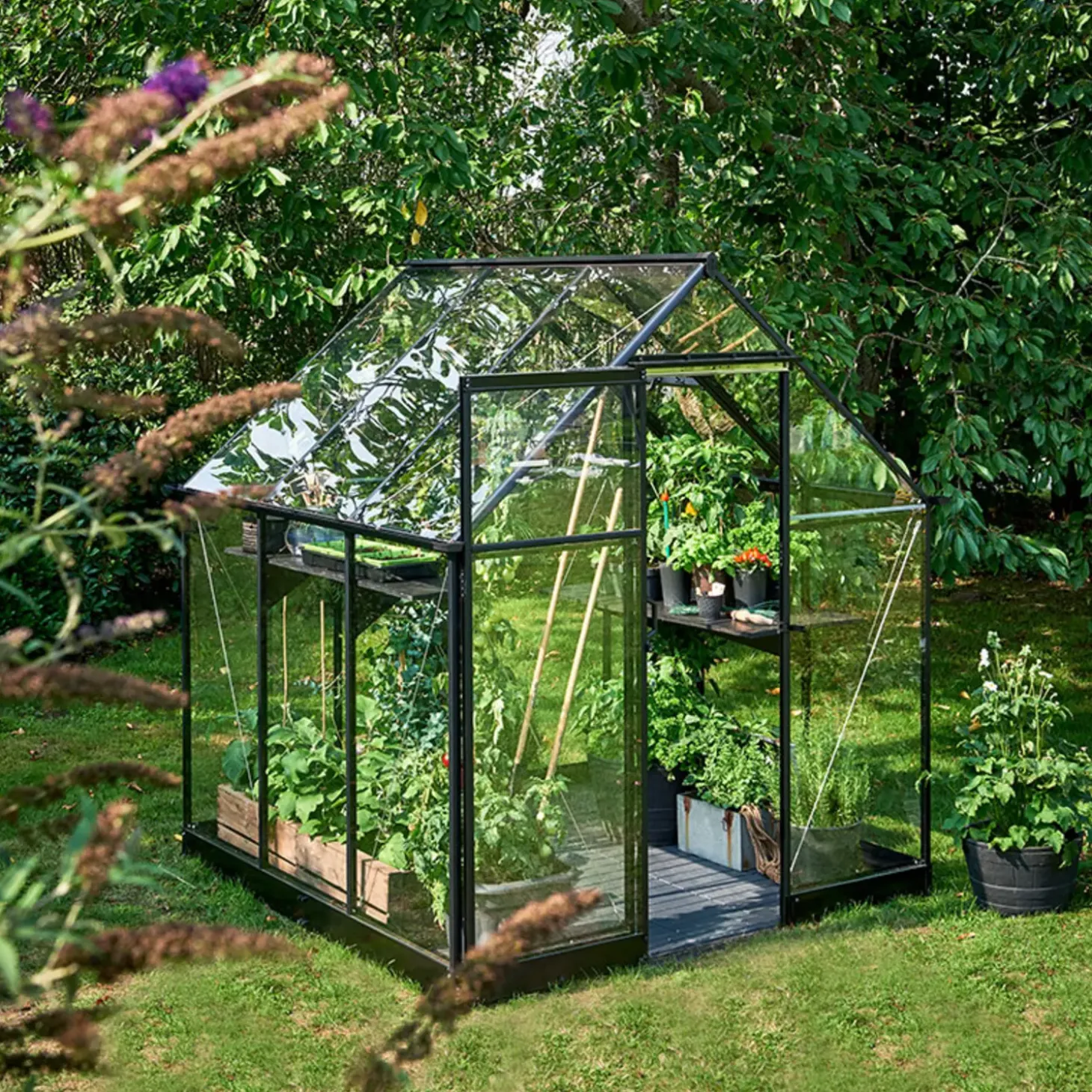 Halls Qube 66 minidrivhus sort med hærdet glas 3,9 m²