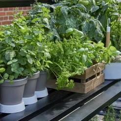 Halls Qube 66 minidrivhus sort med hærdet glas 3,9 m²