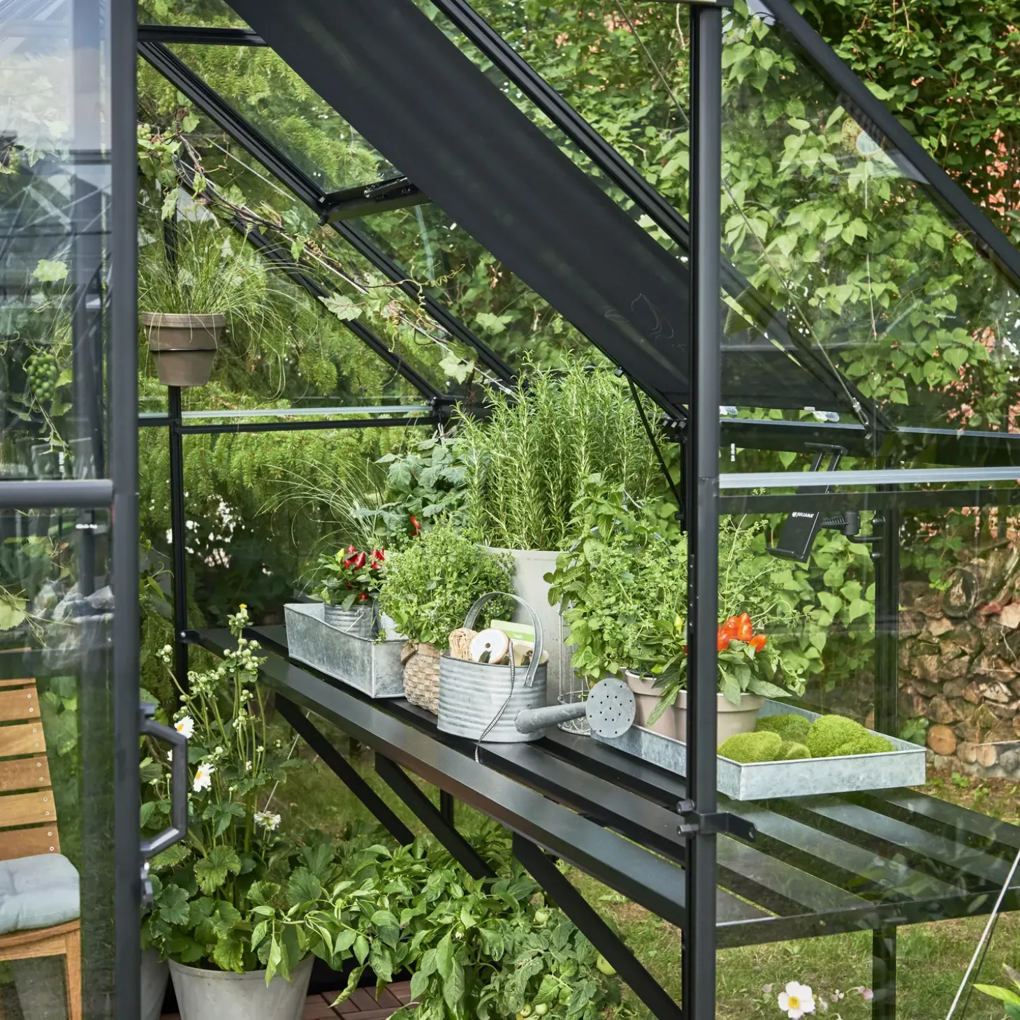 Halls Qube 66 minidrivhus sort med hærdet glas 3,9 m²