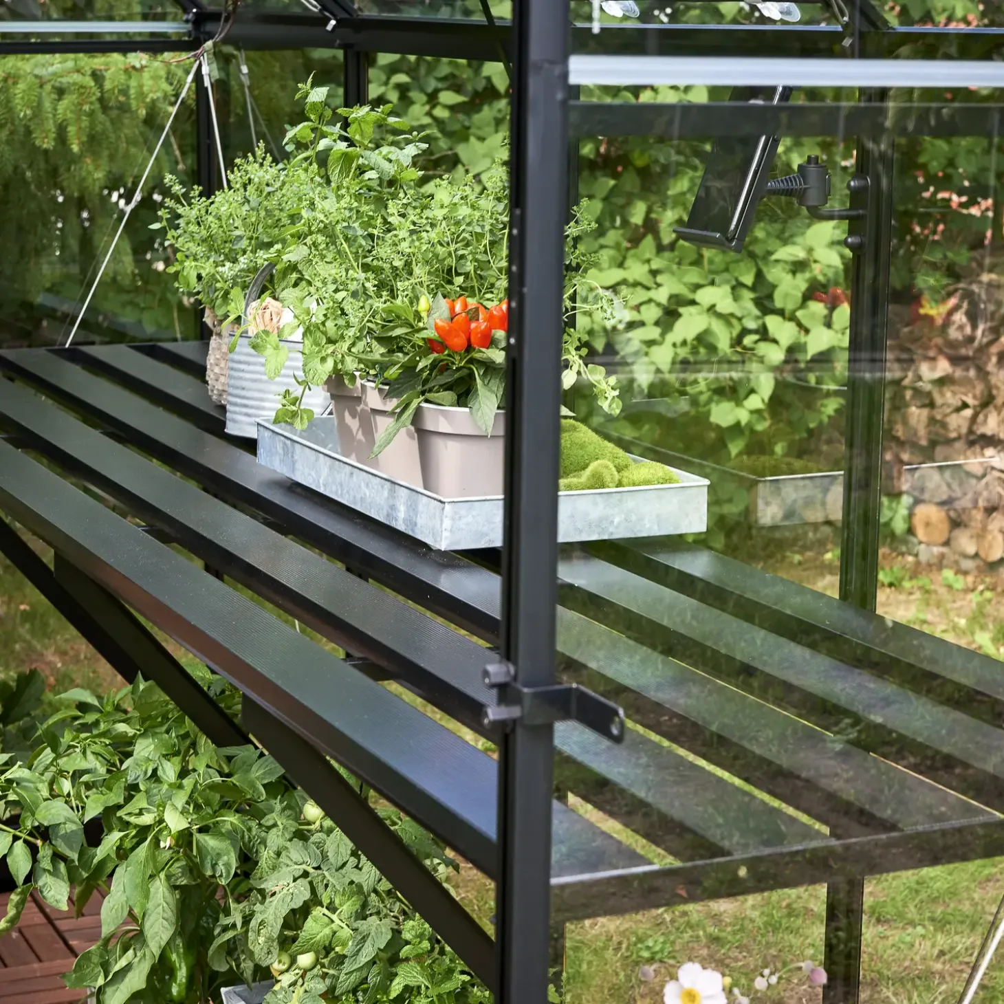 Halls Qube 66 minidrivhus sort med hærdet glas 3,9 m²