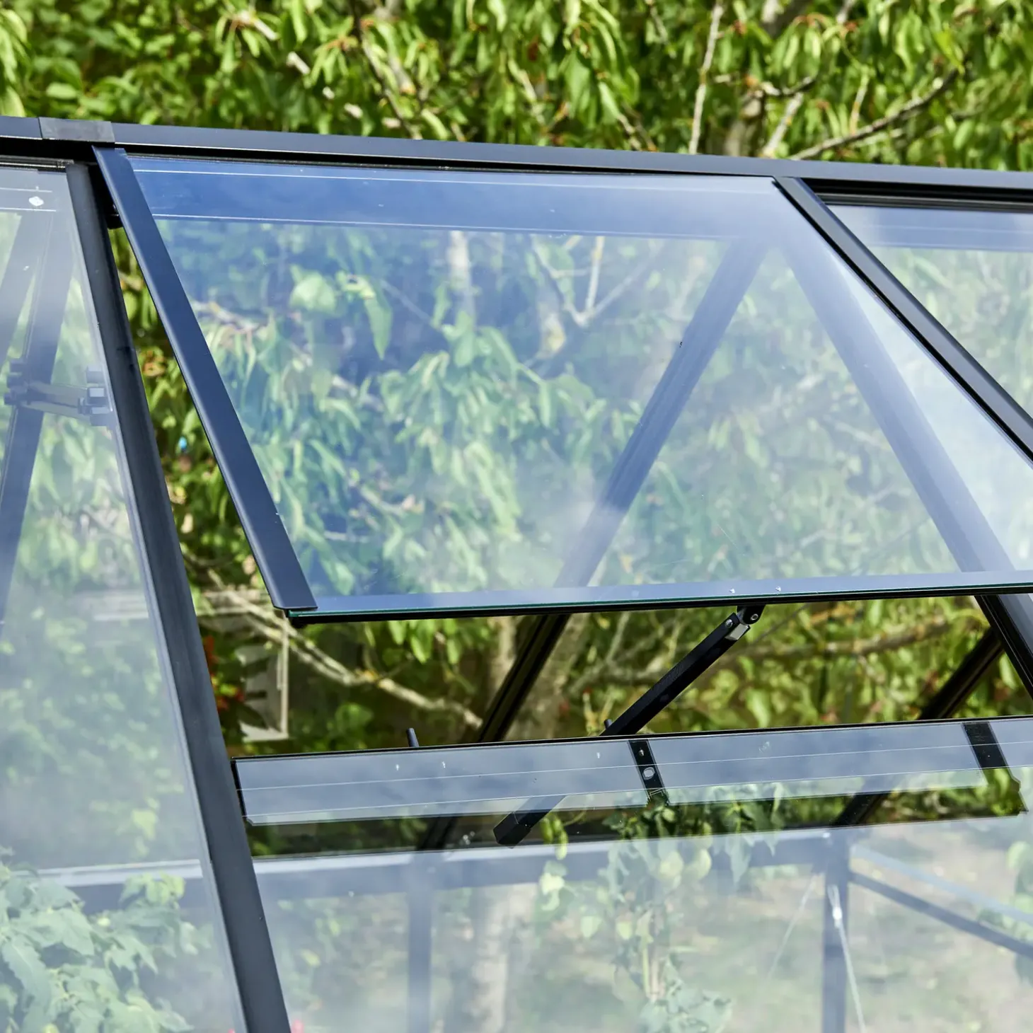 Halls Qube drivhusvindue m/hærdet glas sort