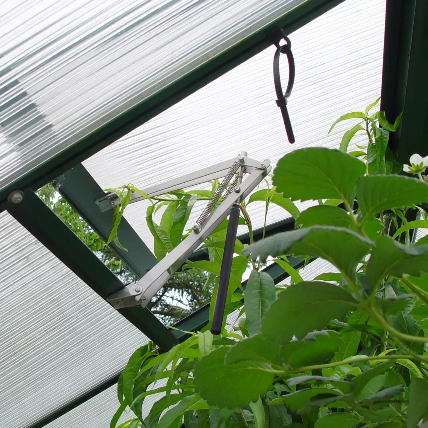 Halls Qube drivhusvindue m/hærdet glas sort