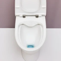 Laufen Pro-N toilet m/skjult P-lås hvid