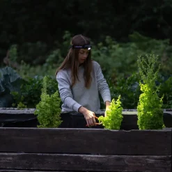 Ledlenser H5R Core pandelampe inkl. 1xgenopladelig batteri sort