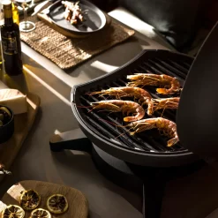 Morsø Forno Piccolo gasgrill