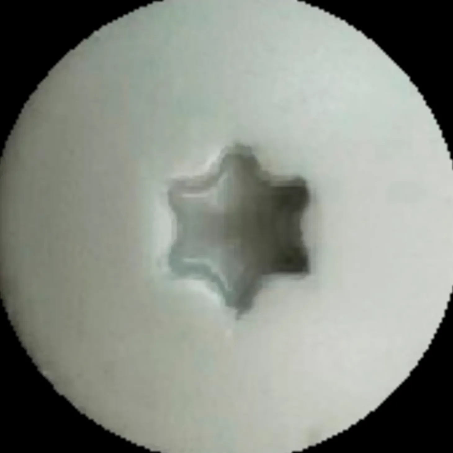 NKT Facade+ D facadeskrue m/lys grå hoved 4,5x40 mm A2 TX20 lys grå 200 stk