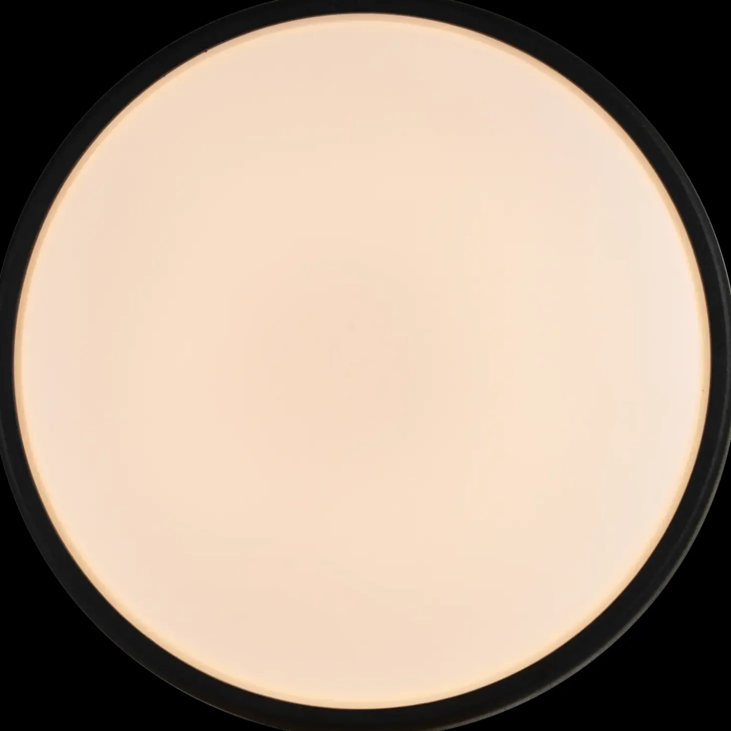 Nordlux Oliver udendørs rund væglampe sort