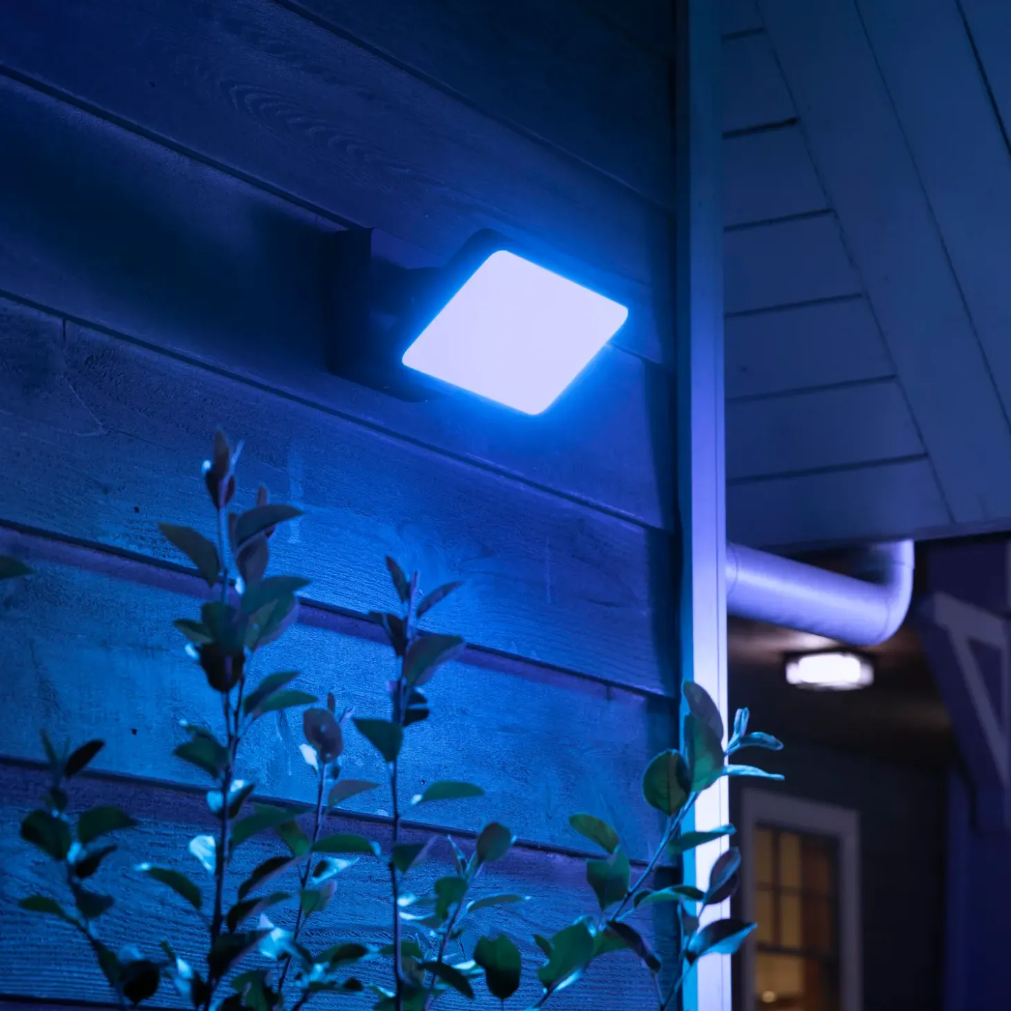 Philips Hue Discover udendørs projektør LED