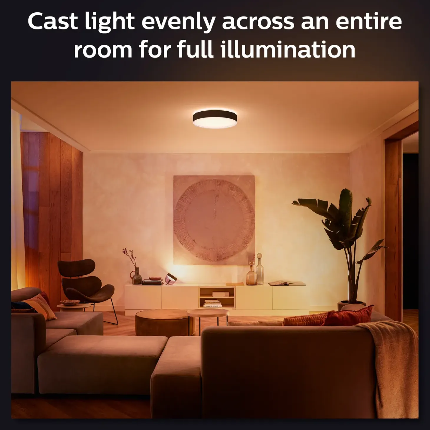 Philips Hue Enrave L plafond Ø42,5 cm 33,5W sort