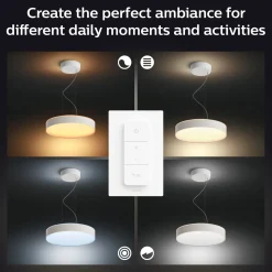 Philips Hue Enrave pendel Ø42,5 mm 33,5W hvid