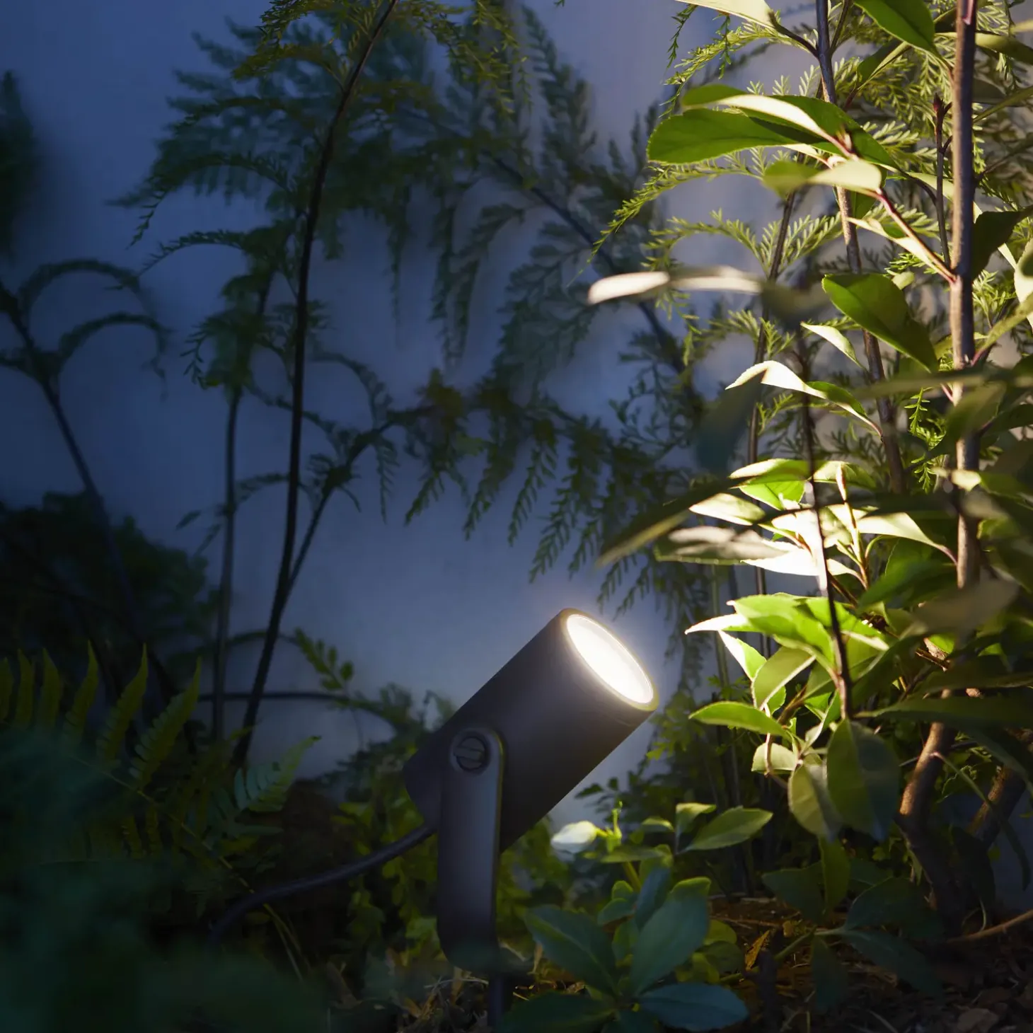 Philips Hue Lily udendørs LED basissæt m/3 spots