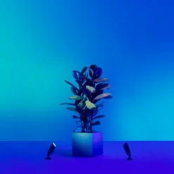 Philips WiZ udendørs bedlamper spot startsæt 10W sort