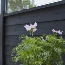 Plus krydsskåret profilstolpe hjørne m/2 spor 90x90 mm længde 268 cm trykimprægneret