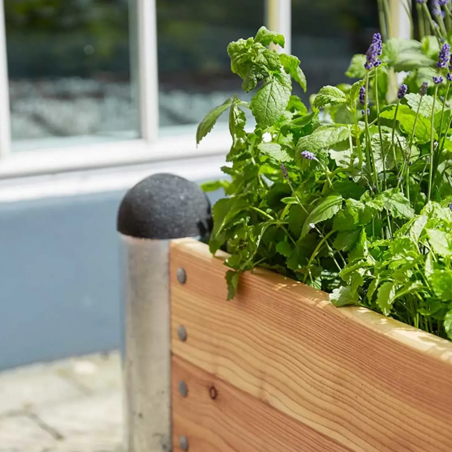 Plus PIPE højbed 140x80x36 cm lærketræ