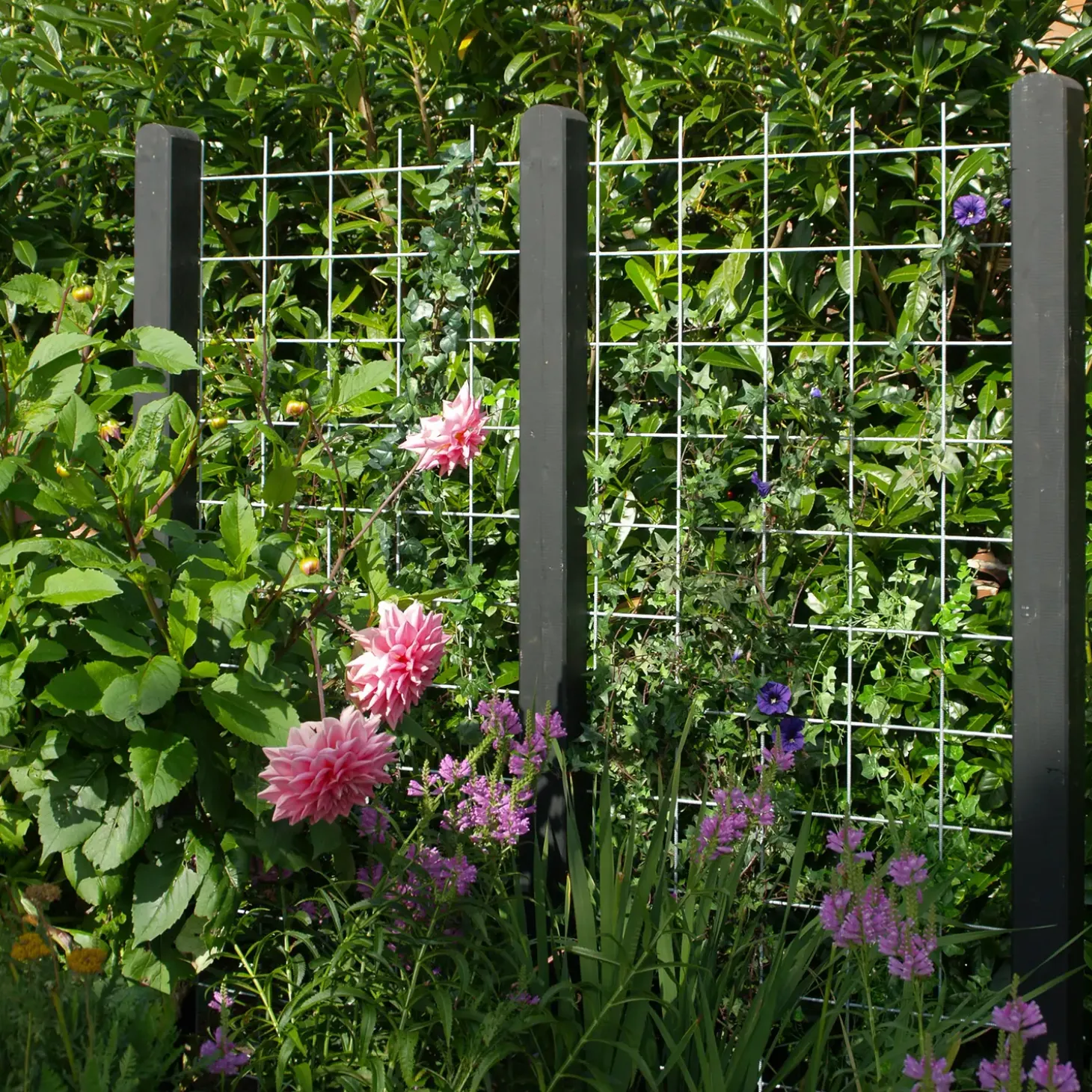 Plus stålespalier u/kant 900x1800 mm varmgalvaniseret