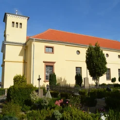 RT 805 Højslev vingetagsten lille dansk, rød