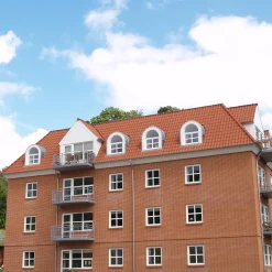 RT 801 Højslev vingetagsten normalformat, rød