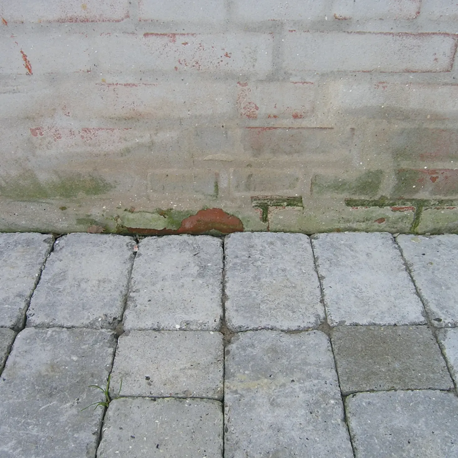 Skalflex sokkelstop 2 kg