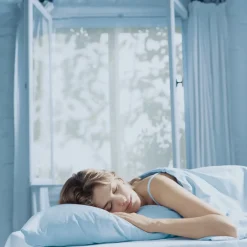 Tesa® Insect Stop Insektnet Standard t/ vinduer 1,3x1,5 m hvid