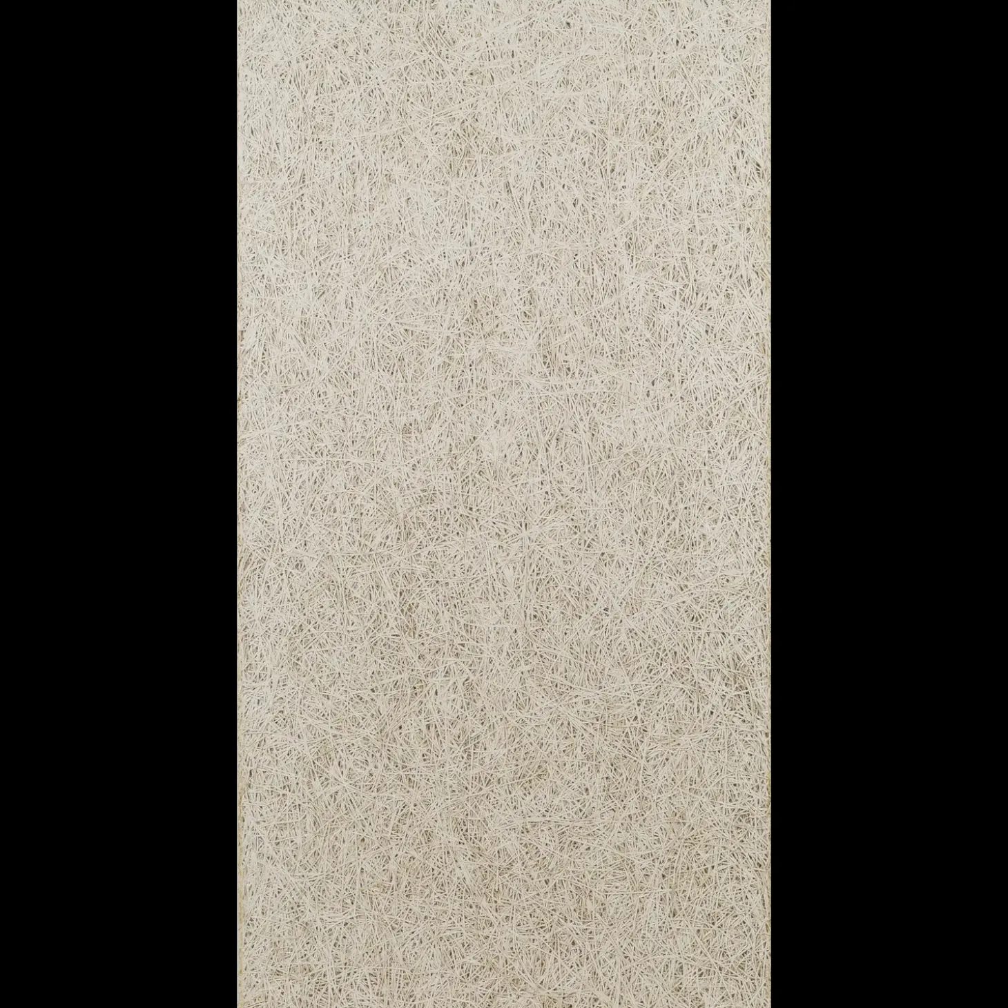 Troldtekt loftsplader lys natur fin 25x600x2400 mm