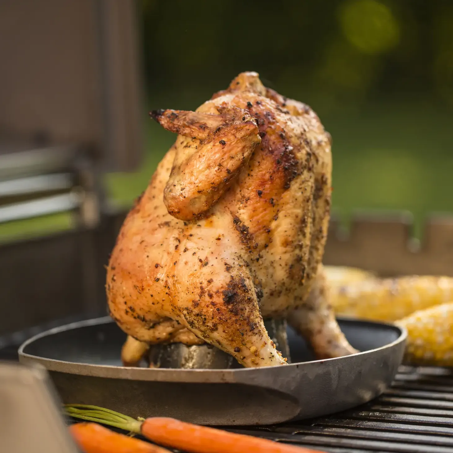 Weber® Deluxe kyllingeholder