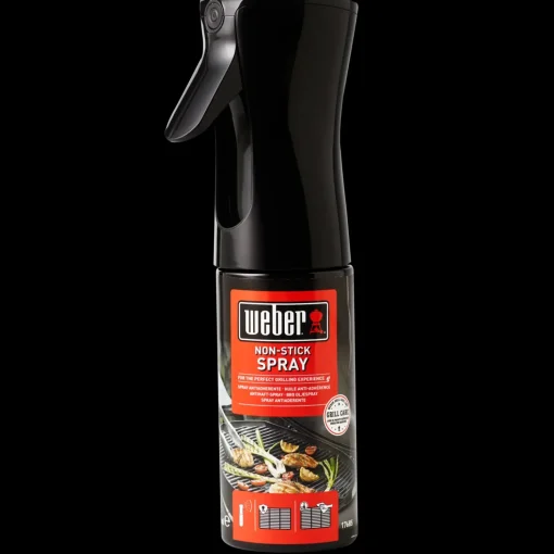 Weber grillrist til Go-Anywhere  gasgrill