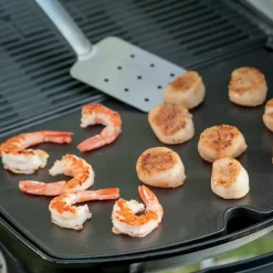 Weber® stegeplade til Q200/2000-serien (indtil 2024)