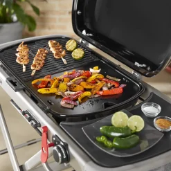 Weber stegeplade traveler